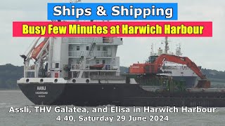 Busy Few Minutes at Harwich Harbour Assli THV Galatea and Tug Elisa 29 June 2024 [upl. by Kaile]