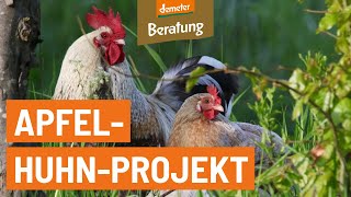 ApfelHuhnProjekt aus der SüdostSteiermark [upl. by Pepe210]