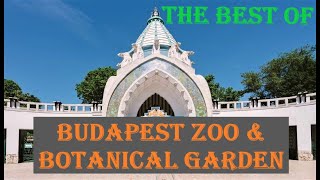 THE BEST OF BUDAPEST ZOO  Must See  Botanical Garden  Hungary [upl. by Odlamur]