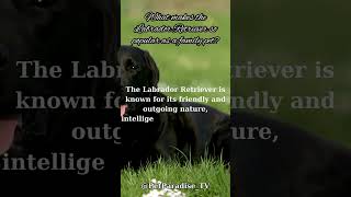 What makes the Labrador Retriever so popular as a family pet [upl. by Drofhsa]