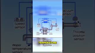 Mastering Engine Control Understanding EFI Sensors DIS and Ignition Systems [upl. by Llerahc]