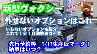 【先行予約枠】新型ヴォクシー納車速報（仮マーク点灯！納車はいつ）と必要なオプションはこれ トイプードルが教えます [upl. by Notlit]