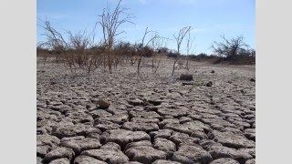 ¿Cuál es la causa de la desertificación [upl. by Page]