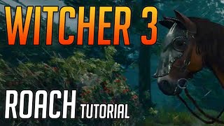 Witcher 3 How to Use amp Upgrade Roach [upl. by Zephan46]