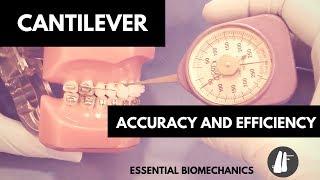 Cantilever  Essential Biomechanics [upl. by Hallie]