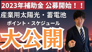 【2023年最新】産業用太陽光・蓄電池に関する補助金の詳細を大公開 [upl. by Alric]