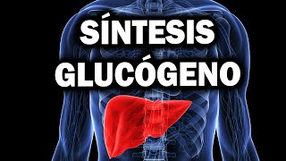 GLUCÓGENOGÉNESIS explicado paso a paso😎😎 Síntesis de Glucógeno [upl. by Eniamsaj335]