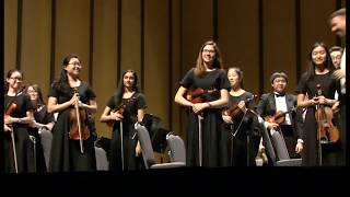 Anderson  Fiddle Faddle TMEA  Plano West Chamber Orchestra [upl. by Narcis157]