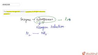 The exzyme nitrogenase which is capable of nitrogen reduction present in [upl. by Saticilef]