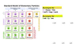 How To Solve Quarks Composition Simple Question With Quarks and Leptons Acronym [upl. by Ahseen919]