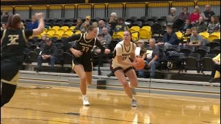 Six Huskies score in double figures to lift Tech over Bemidji State [upl. by Corabelle]