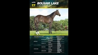 Lote 17  BOLIVAR LAKE [upl. by Nimajnab]