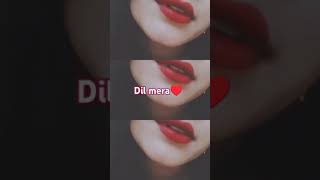 dhakdhakbolydilmera♥️dil♥️ churiyan [upl. by Negam]