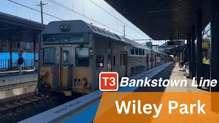 Sydney Trains  Wiley Park Station  T3 Bankstown Line Before Metro [upl. by Heyes]