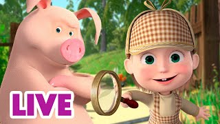 🔴 LIVE 🐻👧 Masha y el Oso 2024 🕵️‍♀️ Actividades inusuales 🎬 Masha and the Bear [upl. by Storm]