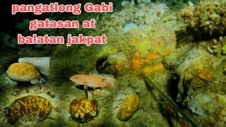 EP79 pangatlong Gabi gatasan at balatan jakpat night sperfishing philippines [upl. by Sualohcin]