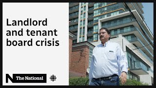 Stuck in Ontario’s landlordtenant board ‘nightmare’ [upl. by Marijane]