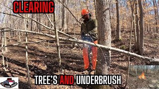 HOW TO Clear Trees and Underbrush  Part 1 [upl. by Hooke]