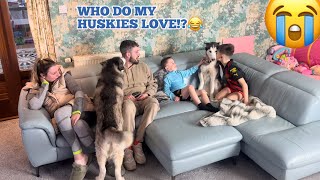 Who Do Our Huskies Love More Challenge😂 ALL 3 HUSKIES [upl. by Arras]