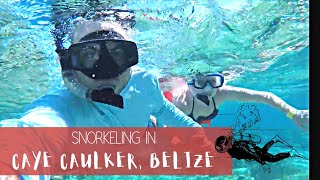 Snorkeling in Caye Caulker Belize [upl. by Girand517]