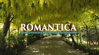 Salsa Romántica Instrumental 2021 Grandes Canciones de la Mejor Salsa Romantica Instrumentales 2021 [upl. by Meir580]