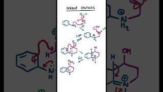 Skraup Synthesis chemistry organicchemistry [upl. by Faunie946]