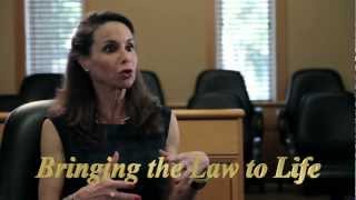 Bringing the Law to Life Stetson Professor Luz Nagle [upl. by Omle600]