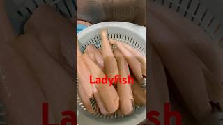 Crispy fried ladyfishfish ladyfish shortvideo crispyfriedfish [upl. by Malik]