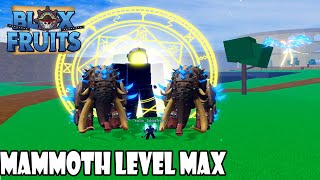 Aku Punya Mammoth Level 300 Max Blox Fruits [upl. by Sukhum]