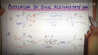 Alkylation of ethyl acetoacetate Acetoester synthesis previous paperOrganic Chemistry Bsc3 [upl. by Delphine]