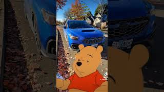 I love this winnie the pooh scene winniethepooh 2022wrx vbwrx jdmnation subienation subie [upl. by Jillane]