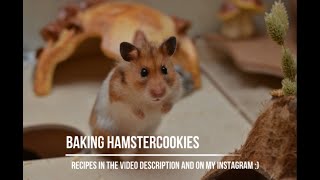 Bake some hamster cookies with me [upl. by Aiuqcaj]