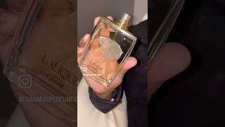 Lalique PourHomme un perfume vintage con CREEDenciales para gustar en la actualidad 🦁 fragarab [upl. by Anner793]