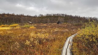 Ruska in Lapland  Part 6  Finland 2018 [upl. by Ikim993]