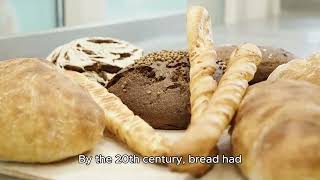 History of Bread [upl. by Tratner]