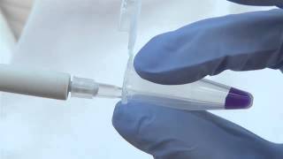 Pipetting small volumes [upl. by Jansen]