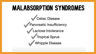 Malabsorption Syndromes [upl. by Legnaros745]