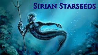 A Message To Sirian Starseeds From Safon [upl. by Arataj60]