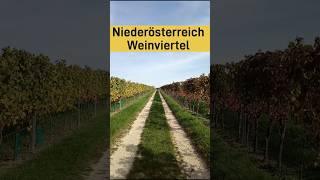 Das Lied vom Wein [upl. by Spencer]