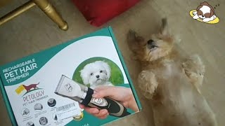 Unboxing Rechargeable Pet Hair Trimmer  Petology  Best Buy [upl. by Sitoiyanap]