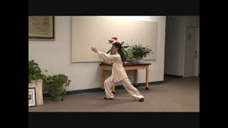 Grandmaster Aiping Cheng  Yang Style Tai Chi 108 Form [upl. by Yrreg]