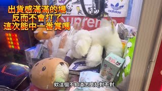 夾娃娃機EP54比親子樂園還要佛的場隨便打隨便出場內再加碼抽打檯金夾娃娃 娃娃機 娃娃 公仔 一番賞 [upl. by Manella]