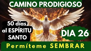 día 26 🔥🙏 CAMINO PRODIGIOSO 50 DÍAS AL ESPÍRITU SANTO [upl. by Anwadal]