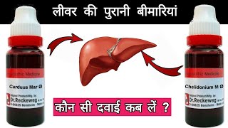 लीवर की पुरानी गर्मी  liver disease  Cardus M Q  Chelidonium Q  Jaundice  garmi  dr tarun [upl. by Shabbir331]