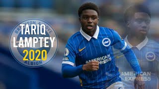 Tariq Lamptey 2020  Incredible Speed Skills Goals amp Assists [upl. by Marylinda]