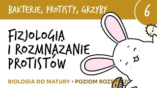 Fizjologia i rozmnażanie protistów koniugacja osmoregulacja  biologia do matury liceum [upl. by Carpio21]