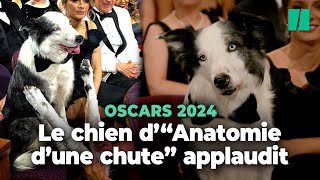 Messi le chien dquotAnatomie dune chutequot surpris en train dapplaudir lors des Oscars 2024 [upl. by Ahsiakal]