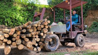 Wood processing for export is amazingwoodworking woodcutting wood pee machine [upl. by Millan362]