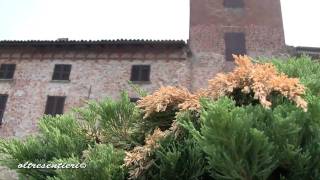 San Damiano Al Colle [upl. by Ellenwad575]