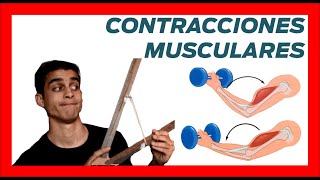 💪 Tipos CONTRACCIONES MUSCULARES ❗❗ Ejemplos concentricas y excentricas [upl. by Lashonda246]